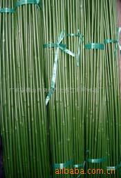 探索園藝與農(nóng)業(yè)工具產(chǎn)品與服務(wù) 從基礎(chǔ)工具到專(zhuān)業(yè)解決方案