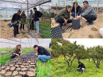 科技春風(fēng)吹進(jìn)湘西 園藝專(zhuān)家田間地頭助春耕