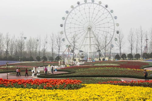 國(guó)慶旅游去哪兒 浦口饕餮盛宴等你來(lái)
